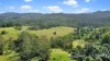297 Stanger Road, Stony Chute, NSW 2480-Image