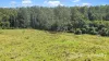 297 Stanger Road, Stony Chute, NSW 2480-Image