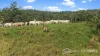 297 Stanger Road, Stony Chute, NSW 2480-Image