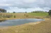2974 Taylors Flat Road, Reids Flat NSW 2586-Image