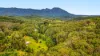 2984 Kyogle Road, Kunghur, NSW 2484