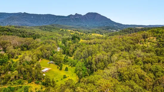 2984 Kyogle Road, Kunghur, NSW 2484