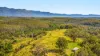 2984 Kyogle Road, Kunghur, NSW 2484-Image