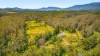 2984 Kyogle Road, Kunghur, NSW 2484-Image