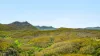 2984 Kyogle Road, Kunghur, NSW 2484-Image