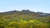 2984 Kyogle Road, Kunghur, NSW 2484-Image