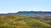 2984 Kyogle Road, Kunghur, NSW 2484-Image
