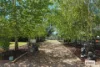 3 Forbes Road, Lancefield, Vic 3435-Image