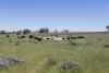 3 Gooloogong Siding Road, Gooloogong, NSW 2805