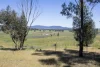 3 Gooloogong Siding Road, Gooloogong, NSW 2805-Image