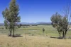 3 Gooloogong Siding Road, Gooloogong, NSW 2805-Image