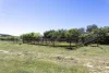 3 Gooloogong Siding Road, Gooloogong, NSW 2805-Image