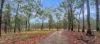 3 MOOMIN ROAD, Moomin, Qld 4887-Image