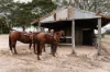 3 Schadwell Road, BLENHEIM QLD 4341-Image
