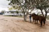 3 Schadwell Road, BLENHEIM QLD 4341-Image