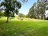 30 O'Malleys Road, Mardan, Vic 3953-Image
