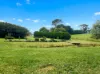 30 O'Malleys Road, Mardan, Vic 3953-Image