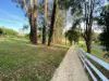 30 O'Malleys Road, Mardan, Vic 3953-Image