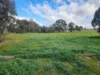 30 Popples Lane, Hilldene, Vic 3660-Image
