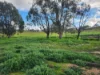 30 Popples Lane, Hilldene, Vic 3660-Image