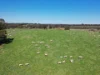 30 Tanah Merah Rd, Wombat, via, Young, NSW 2594-Image