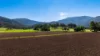 30 Wells Gully Road, McCullys Gap, NSW 2333-Image