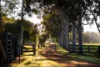 30 Wells Gully Road, McCullys Gap, NSW 2333-Image