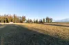 300 Felmingham Road, Parkham TAS 7304-Image