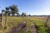 300 Felmingham Road, Parkham TAS 7304-Image