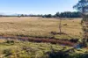 300 Felmingham Road, Parkham TAS 7304-Image