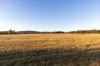 300 Felmingham Road, Parkham TAS 7304-Image