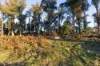 300 Felmingham Road, Parkham TAS 7304-Image