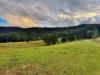 300 Hayes Road, Millfield, NSW 2325-Image