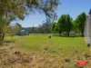 300 Lyons Road, Heath Hill, Vic 3981-Image