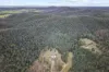 301 Glisson Watson Road, Cobargo, NSW 2550-Image