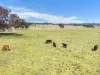3019 Bylong Valley Way, Rylstone, NSW 2849-Image