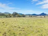 3019 Bylong Valley Way, Rylstone, NSW 2849-Image