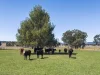 3019 Bylong Valley Way, Rylstone, NSW 2849-Image
