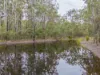 303 McGills Road, Kremnos, NSW 2460-Image