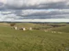 303 Snake Gully Road, Harrogate, SA 5244-Image