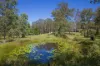 3036 Armidale Road, Hickeys Creek, NSW 2440-Image