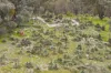 304 Blacks Lane, Upotipotpon, Vic 3669-Image