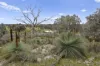 304 Blacks Lane, Upotipotpon, Vic 3669-Image