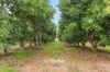 308 Payne Road, Kaloorup, WA 6280-Image
