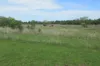 309` Gazzards Road, Tara, Qld 4421-Image