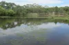 309` Gazzards Road, Tara, Qld 4421-Image
