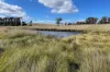 31 Henry Parkes Road, Parkesbourne, NSW 2580-Image