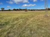 31 Henry Parkes Road, Parkesbourne, NSW 2580-Image