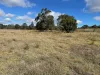 31 Henry Parkes Road, Parkesbourne, NSW 2580-Image