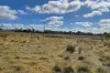 31 Henry Parkes Road, Parkesbourne, NSW 2580-Image